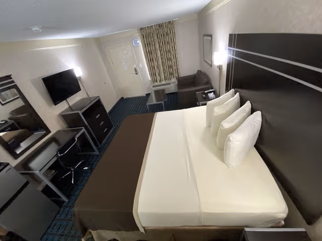 Standard Room, 1 King Bed, Non Smoking