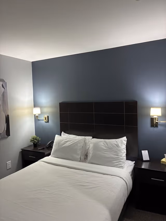 Standard Room, 1 Queen Bed, Non Smoking (Queen Room)