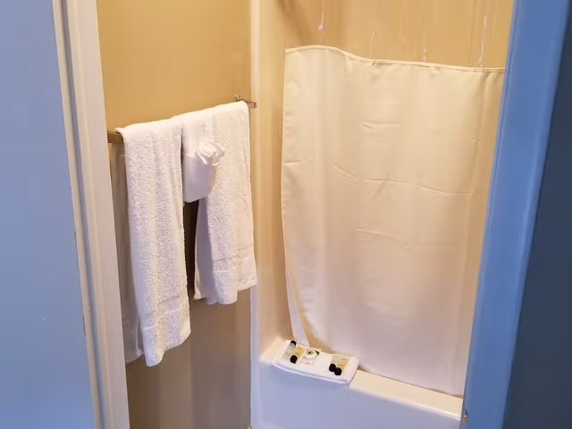 Standard Room, 1 Queen Bed, Non Smoking (Queen Room)