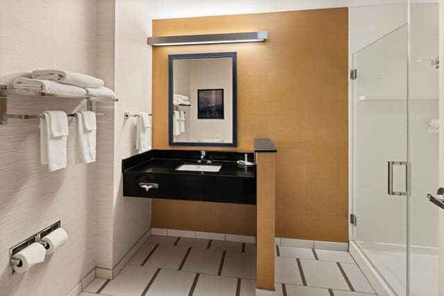 Executive Suite, 1 King Bed with Sofa bed
