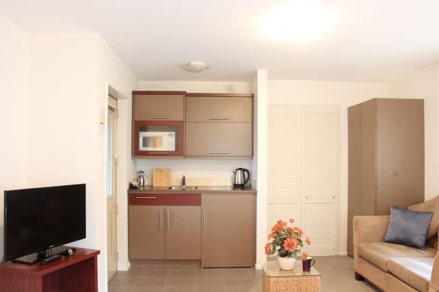 Standard Studio, Non Smoking, Kitchenette (King Studio with Spa)