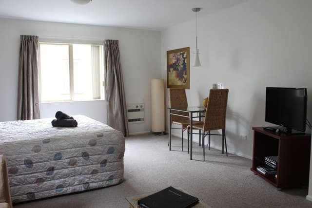 Standard Studio, Non Smoking, Kitchenette (King Studio with Shower)