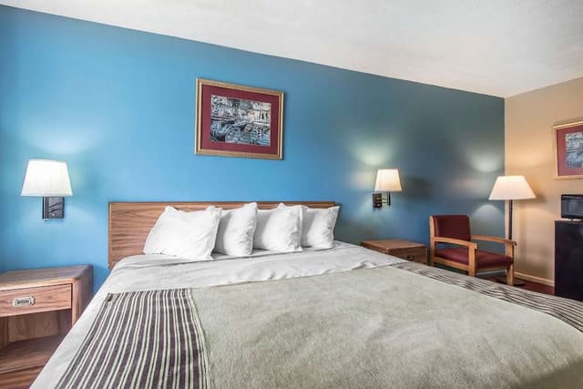 Standard Room, 1 Double Bed, Non Smoking