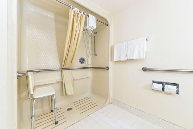 Room, 1 Double Bed, Accessible