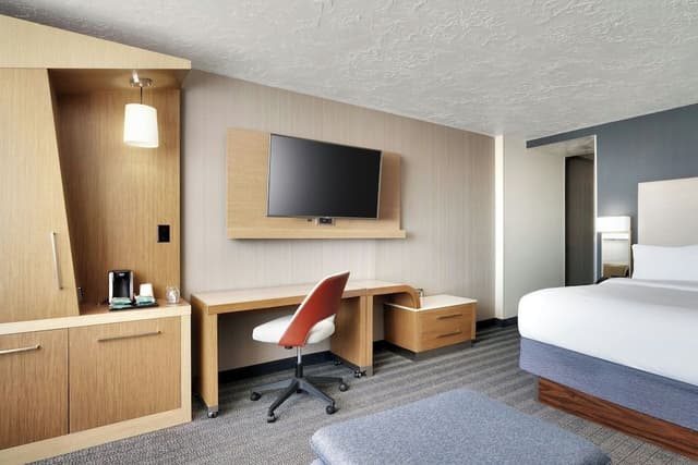 Executive Room, 1 King Bed with Sofa bed