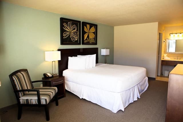 Executive one king bed non smoking