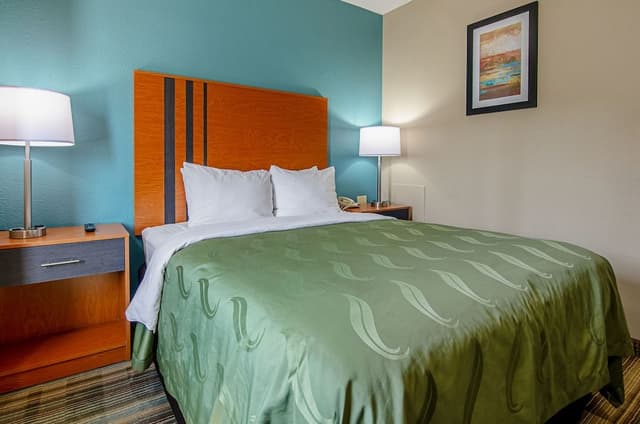 Room, 1 Queen Bed, Non Smoking