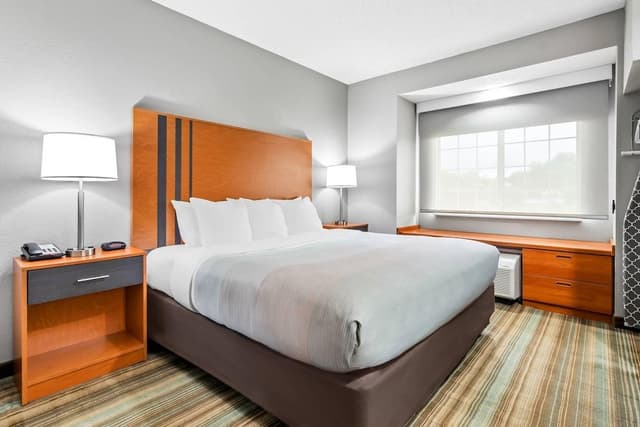 Room, 1 King Bed, Accessible, Non Smoking