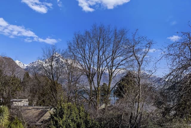 3 Bedroom, 3 Bathroom Mountain View Apartment