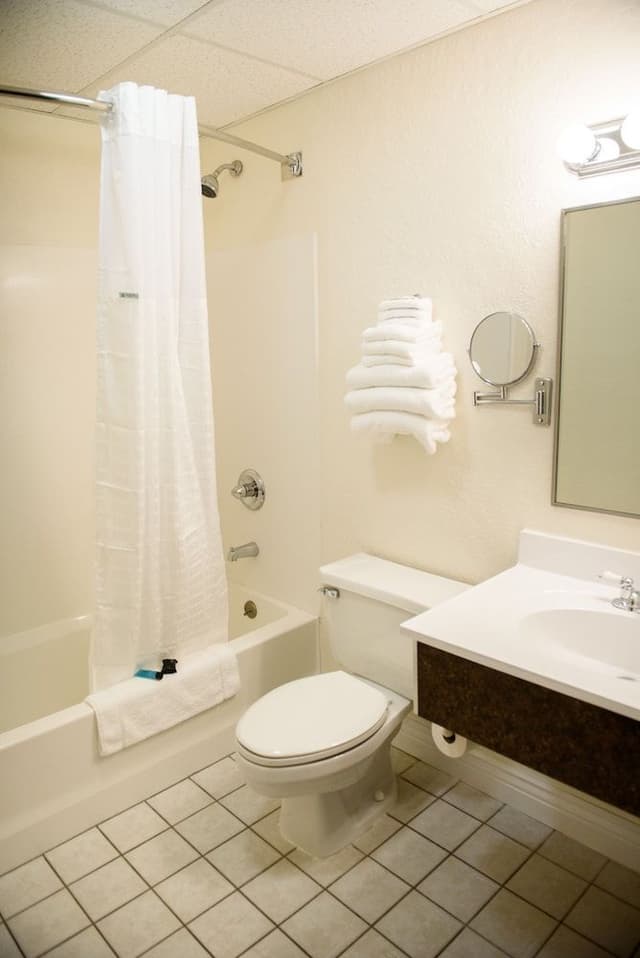 Room, 1 King Bed, Accessible, Non Smoking