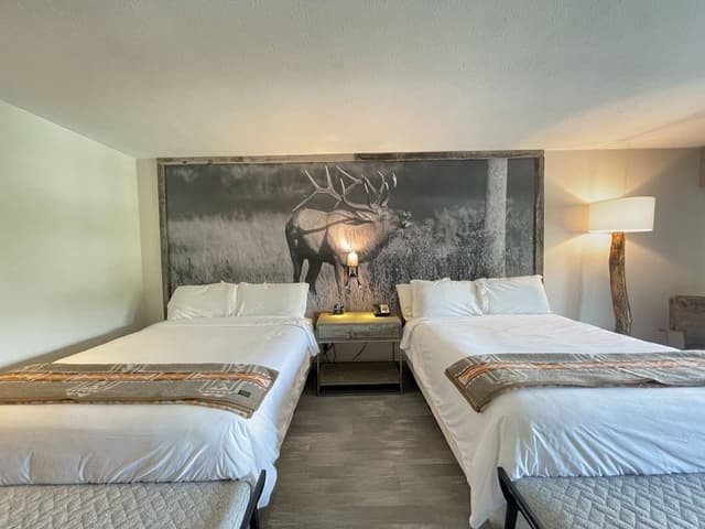 Suite with Two Queens