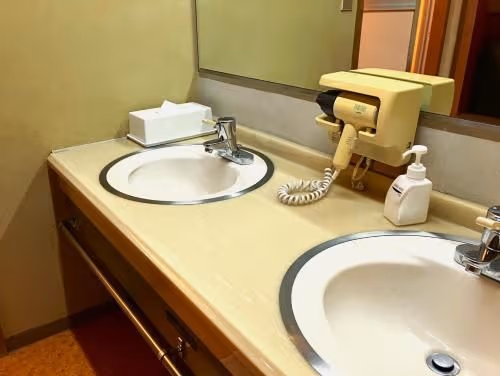 Japanese-Style Deluxe Room