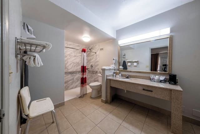 Superior Room, 1 King Bed, Accessible (Roll-In Shower, Smoke Free)