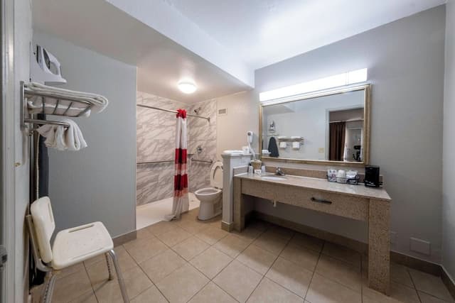 Superior Room, 1 King Bed, Accessible (Roll-In Shower, Smoke Free)
