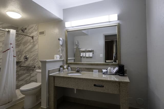 Superior Room, 1 King Bed, Accessible (Roll-In Shower, Smoke Free)
