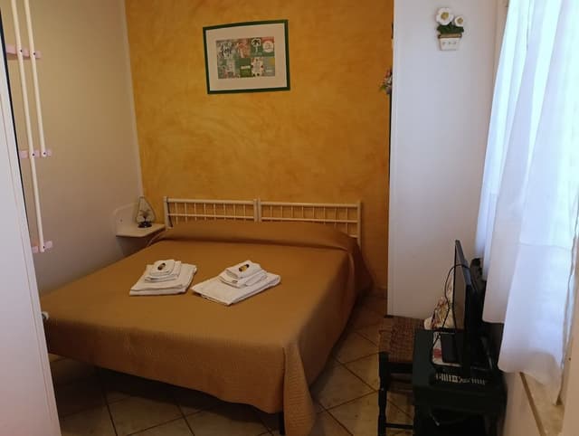 Basic Double Room