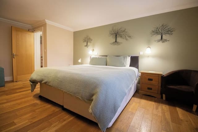 Superior Double or Twin Room