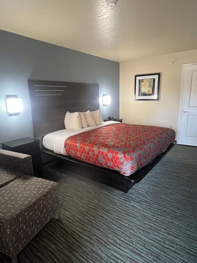 Standard Room, 1 King Bed, Non Smoking