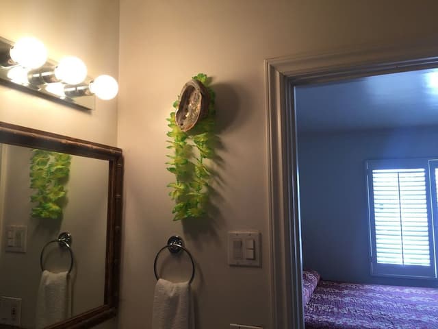 One Bedroom Apartment
