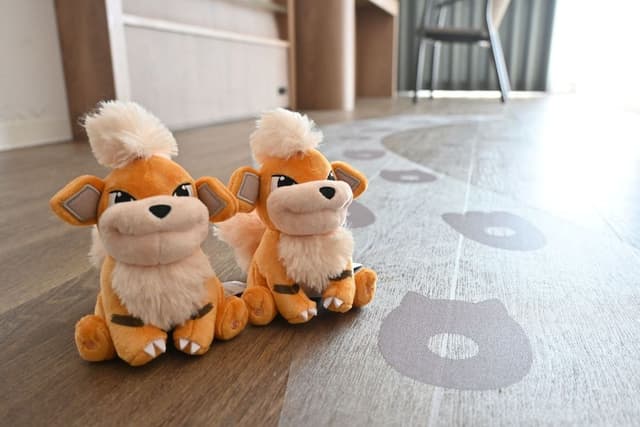 Pokemon Growlithe Room - Deluxe Twin Room, Non Smoking