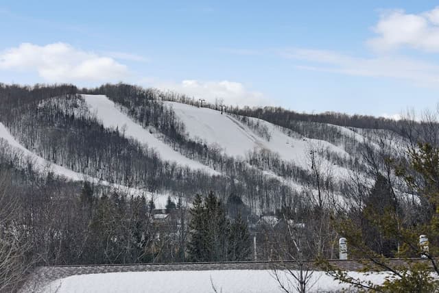 Premier Condo, 3 Bedrooms (226 Wintergreen - Pet Friendly)