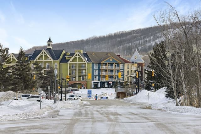 Premier Condo, 3 Bedrooms (226 Wintergreen - Pet Friendly)