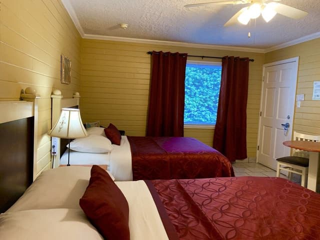 Standard Room, Multiple Beds, Non Smoking