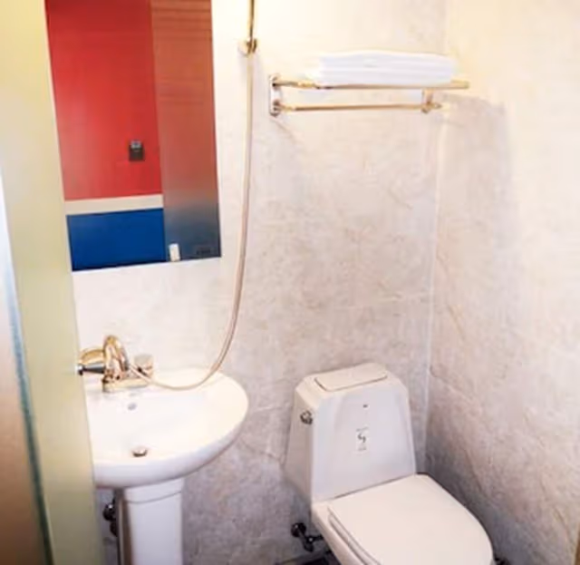 Standard Triple Room, Multiple Beds (D room)