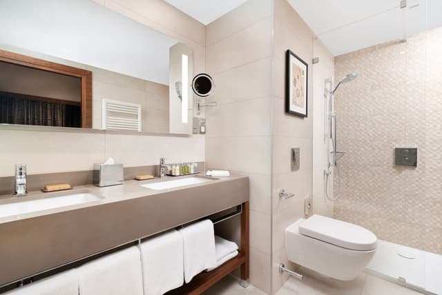 KING ONE BEDROOM SUITE
