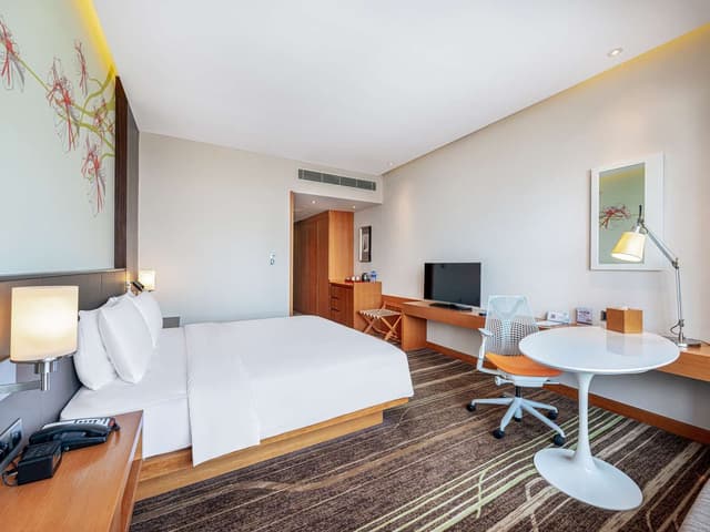 GUEST ROOM KING BED