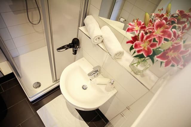 Deluxe Apartment, Kitchenette