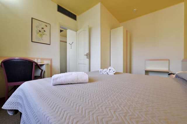 Comfort Double or Twin Room