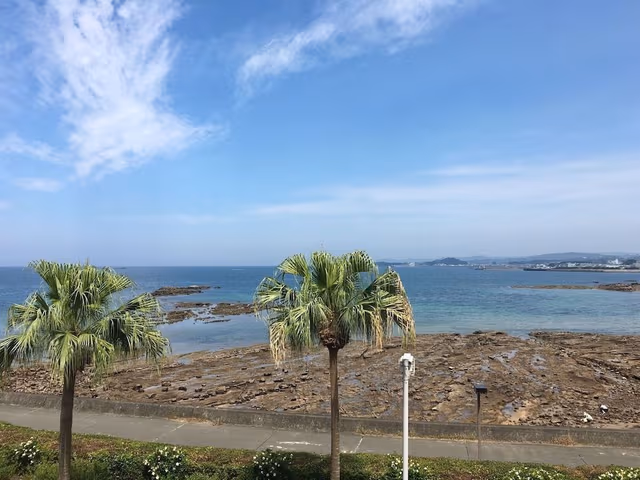 Japanese Western Style Room, Non Smoking, Ocean View