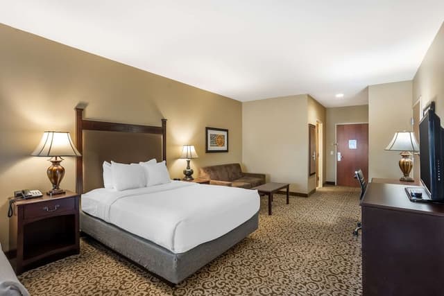 Standard Room, 1 King Bed, Non Smoking, Refrigerator & Microwave (with Sofabed)