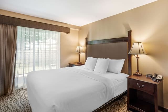 Standard Room, 1 King Bed, Non Smoking, Refrigerator & Microwave