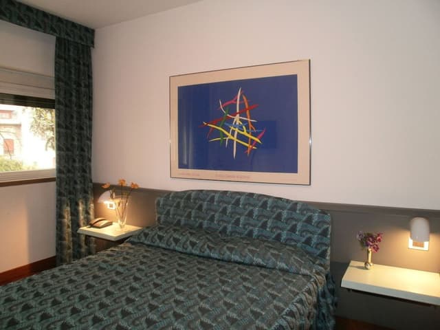 Superior Suite, Park View