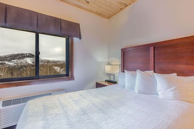 Elite Condo, 1 Bedroom, Fireplace, Mountain View