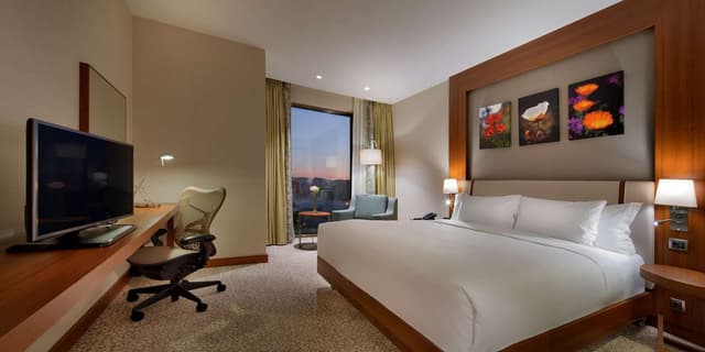 KING ACCESSIBLE ROOM