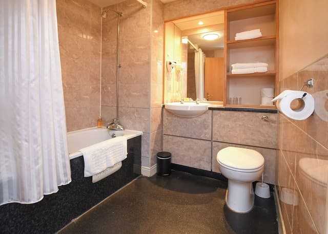 Standard Double Room Single Use, 1 King Bed
