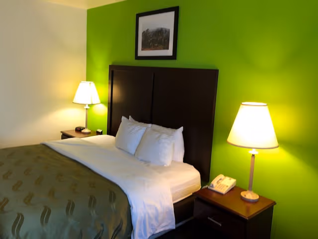 Room, 1 King Bed, Accessible, Non Smoking