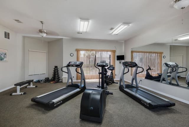 Condo, 1 King Bed with Sofa bed (Maravilla 2112)