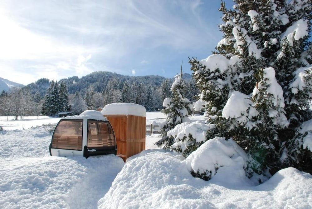 Lenk Lodge Ferienwohnung - INH 293552