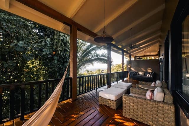 Signature Canopy Suite