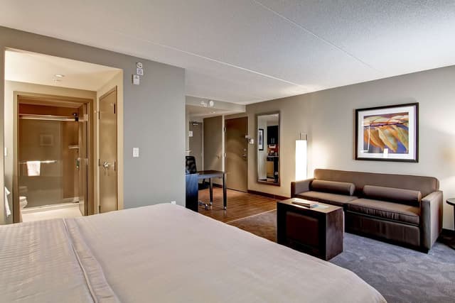1 KING BED STUDIO SUITE NONSMOKING
