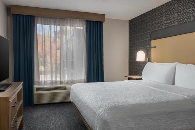 2 KING-2 BEDROOM/2 BATH SUITE-NONSMOK