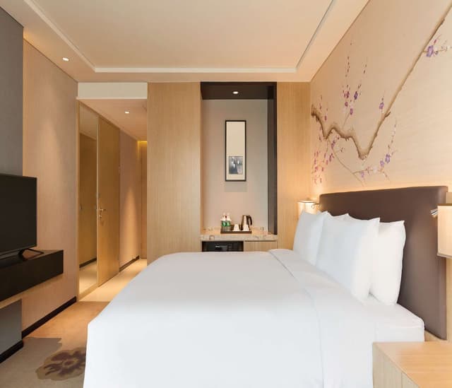 KING ACCESSIBLE ROOM