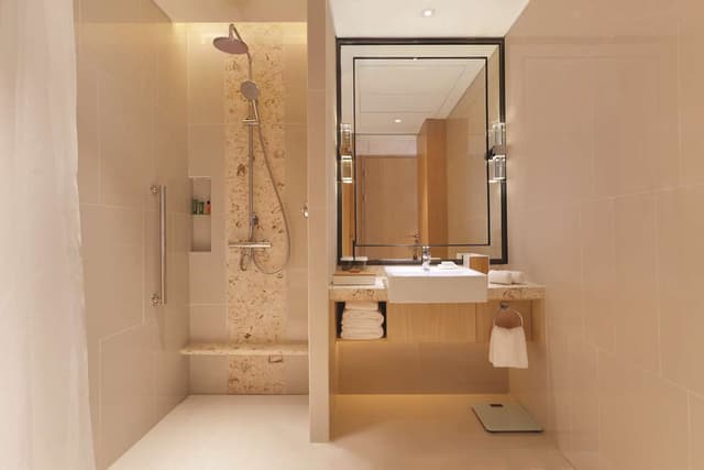 KING ACCESSIBLE ROOM