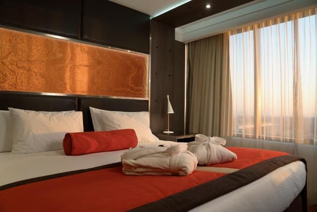 Superior Double or Twin Room