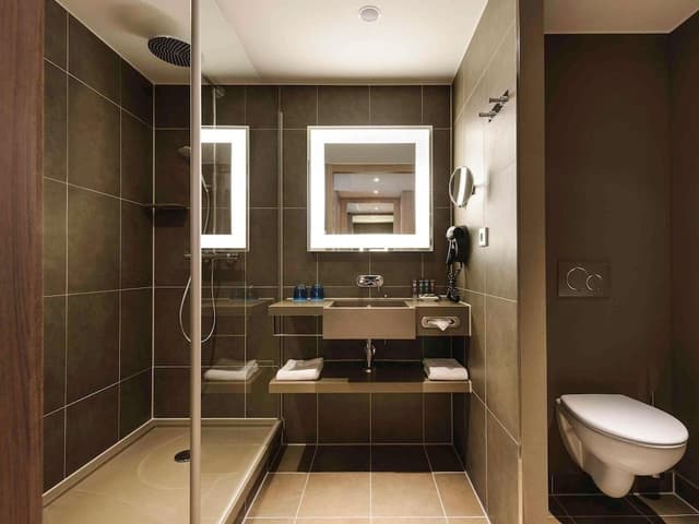 Superior Double Room, 1 Double Bed with Sofa bed