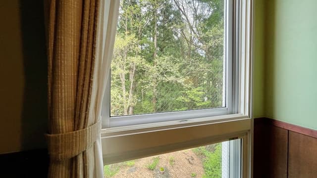 Standard Double Room (King, B)